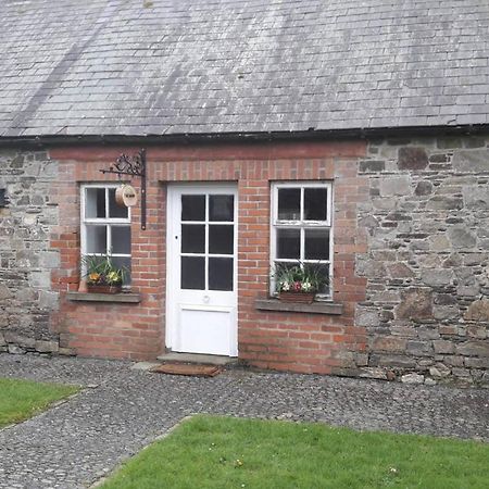 Mogue'S Cottage At Wells House & Gardens ウェックスフォード エクステリア 写真